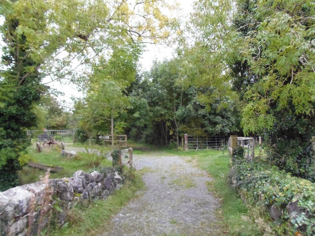 Caheroyn House Athenry Bagian luar foto